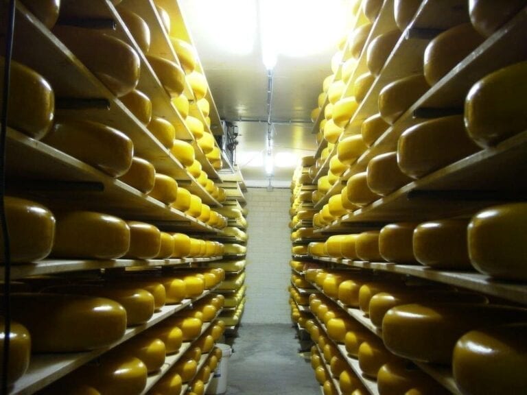 Aging room C. van 't Riet / Dairy Technology USA