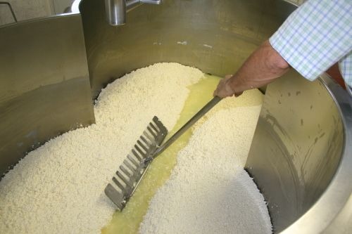 Person stirring large vat of curdled milk or cheese.