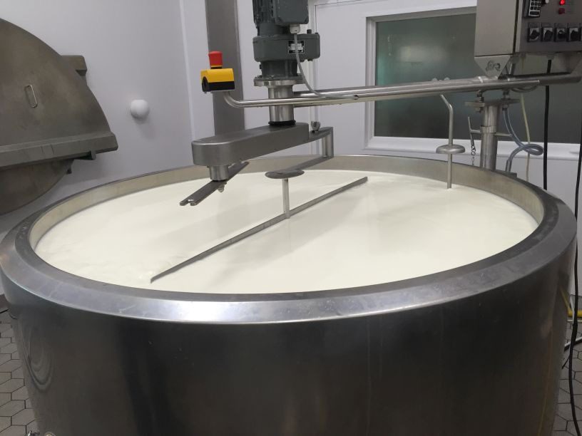 Large stainless steel vat with an industrial mixer stirring liquid, likely used for food processing or dairy production, inside a clean facility.